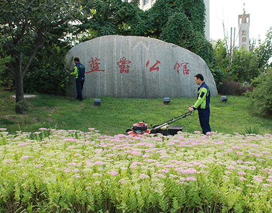 綠化工程,園林綠化公司,園林綠化