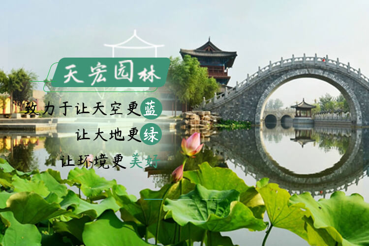北京天宏園林綠化養(yǎng)護有限公司
