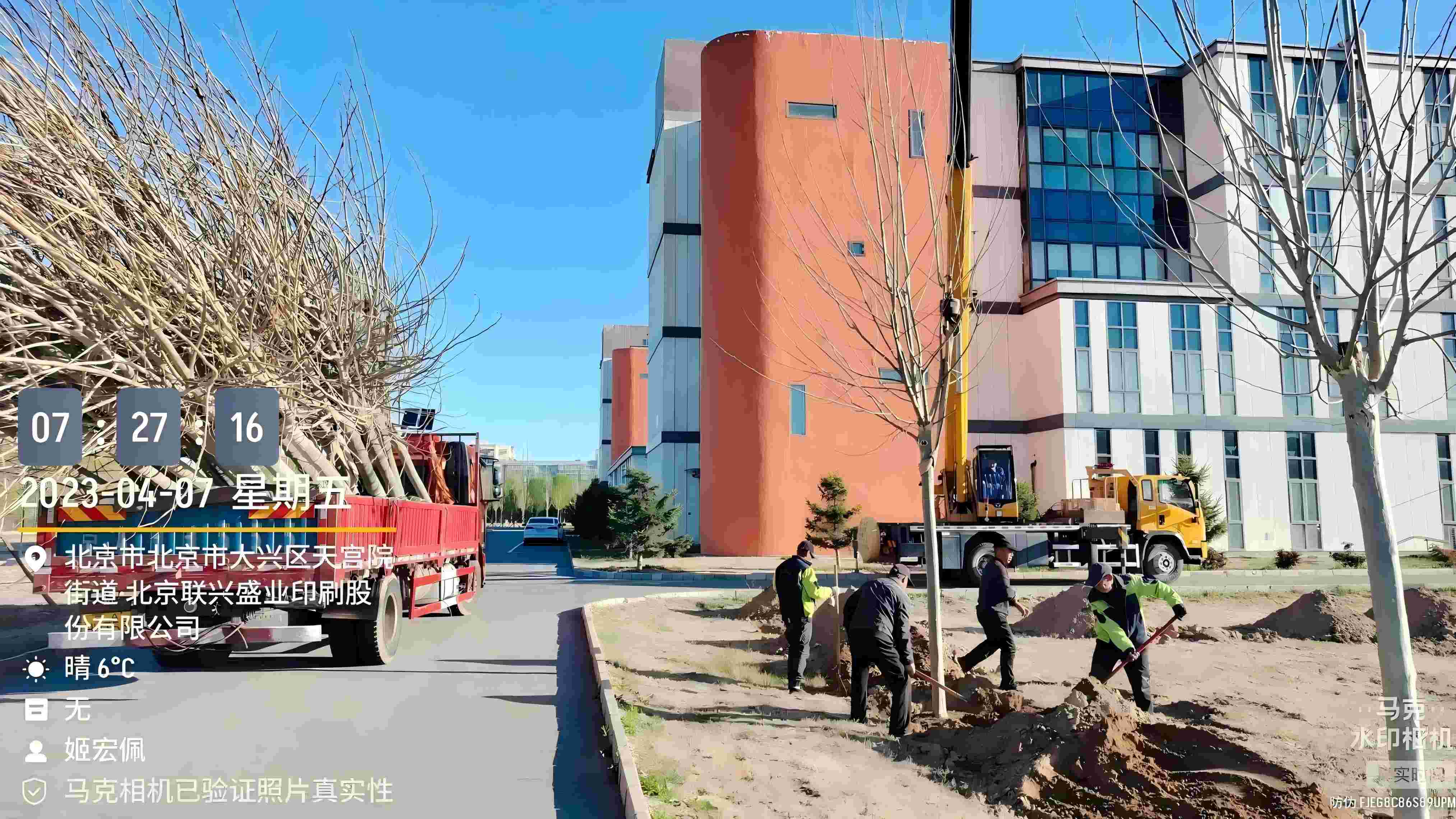 北京春季植樹最好的時間是什么時候？